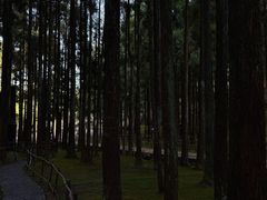 -玉苍山国家森林公园