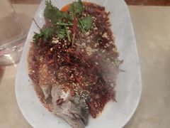 -杨氏青龙虾·羊蝎子(珠江路店)