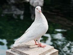 -灵山胜境