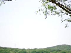 -水上明月·湖景餐厅