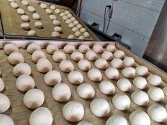 -杨记北方老面馒头