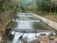 -广州白江湖森林公园