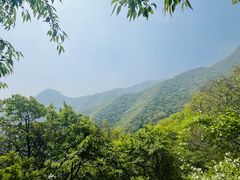 -阳台山自然风景区