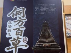 -侗秀养发•头疗