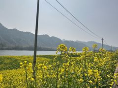 -新安江山水画廊风景区