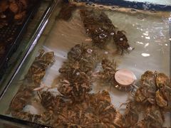 -牛品福潮汕牛肉火锅(旺庄店)