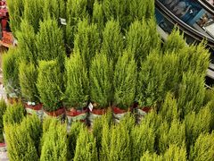 -盒马鲜生(馥邦国际店)