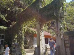 -东林大峡谷