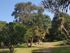 -深圳仙湖植物园