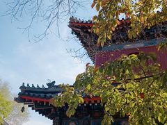 -北京艺术博物馆(万寿寺)