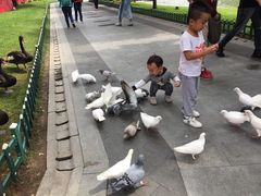 -西安曲江寒窑遗址公园