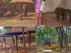 -南戴河国际娱乐中心