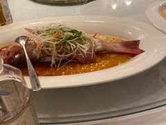 -老洋房花园饭店(绍兴路店)