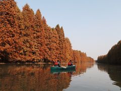 -上海海湾国家森林公园