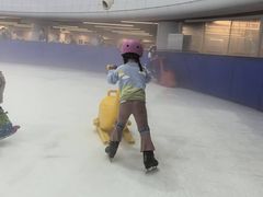 -世界之窗阿尔卑斯冰雪世界