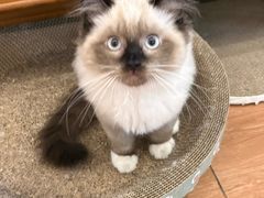 -梧桐巷咖啡厅·coffee&bar