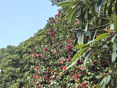 -九龙潭景区