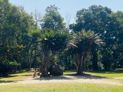 -中国科学院西双版纳热带植物园