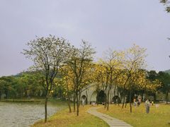 -顺峰山公园