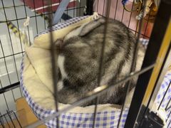 -谜盒子奇幻密室(南屏店)