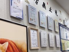 -爱佳宠物中心医院24H·CT·骨外科·猫专科(瑶海万达店)