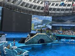 -海合安成都极地海洋公园