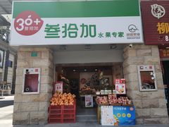 -叁拾加水果专家