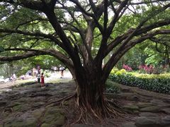 -晓港公园