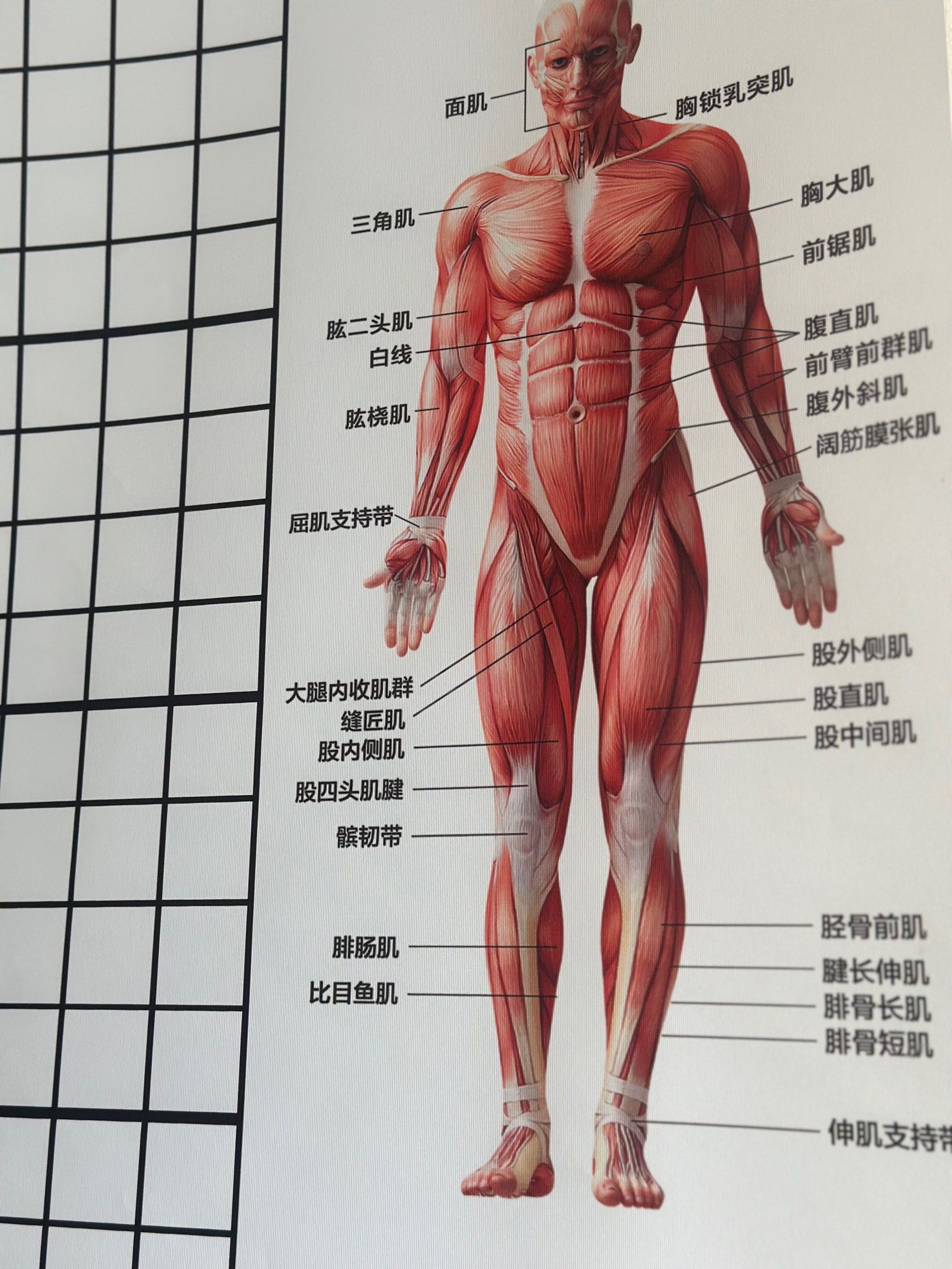 治疗室的放松时光