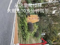-火炉山森林公园