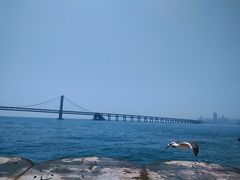 -星海广场