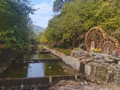 -广州白江湖森林公园