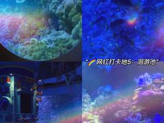 -海合安青岛极地海洋公园