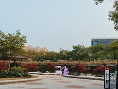 -嘉定紫藤园