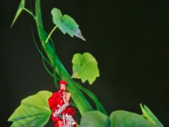 -国家会展中心（上海）虹馆EH