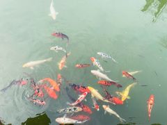 -张家港凤凰山景区恬庄古街