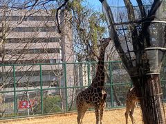 -昆明动物园