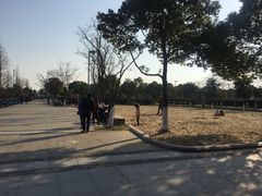 -尚贤河湿地