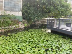 -荔湾湖公园
