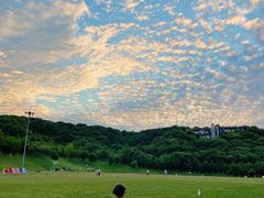 -羊山湖公园