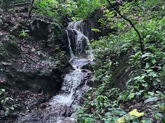 -莫里热带雨林景区