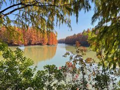 -上海海湾国家森林公园