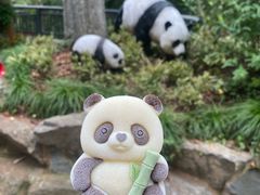 -杭州动物园