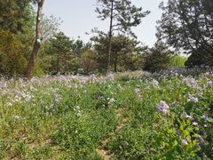 -门城湖公园
