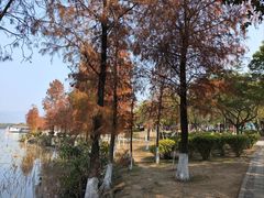 -飞来湖湿地公园