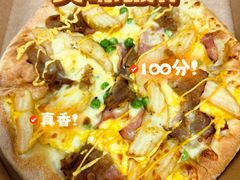 -达美乐比萨(国瑞北路店)