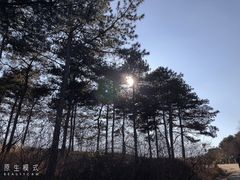 -北京西山国家森林公园