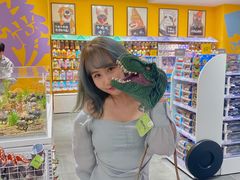 -TOYSRUS玩具反斗城(合肥华润万象城店)