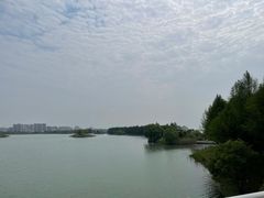 -贡湖湾湿地公园