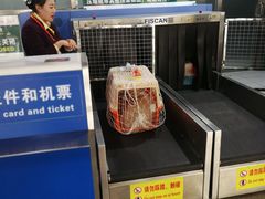 -潍坊南苑机场
